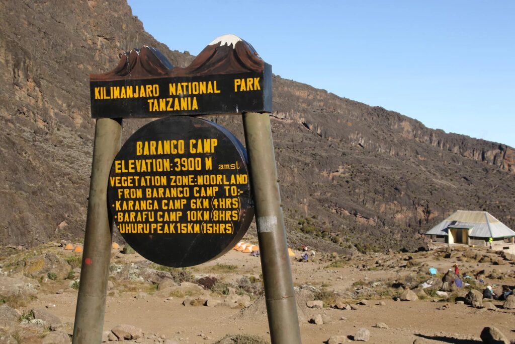 Incredible 8 Days Kilimanjaro Climb via Lemosho Route