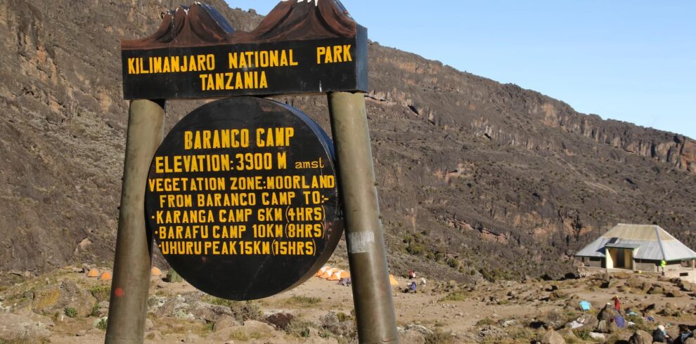 Incredible 8 Days Kilimanjaro Climb via Lemosho Route