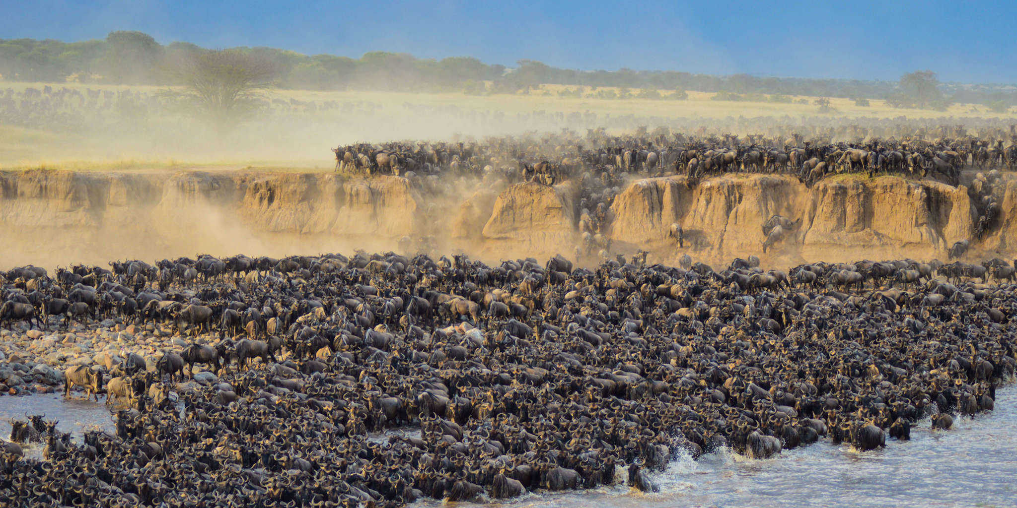 the great migration in serengeti with chipmunk expeditions