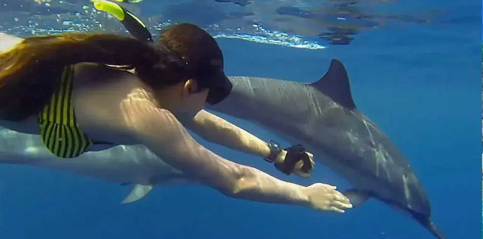 Chipmunk Expeditions - 5-Day Tanzania & Zanzibar Safari Adventure