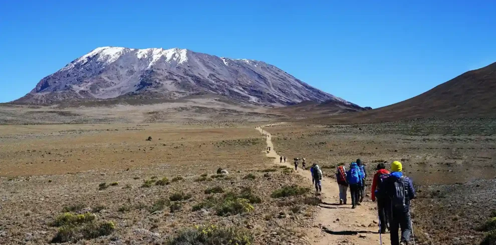 Chipmunk Expeditions - 7 Days Lemosho Route | Kilimanjaro Extraordinary Route | Higher Success Rate
