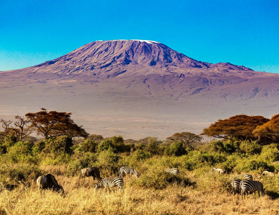 kilimanjaro climbing with chipmunk expeditions